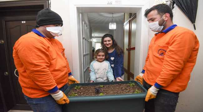 Antalya'dan kısa kısa