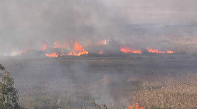 Kaş'ta sazlık alanda yangın çıktı