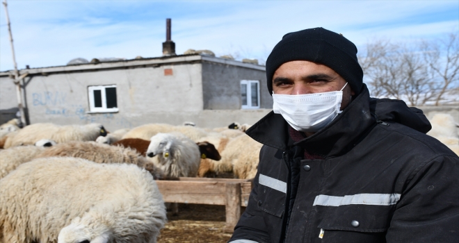 Ata mesleği hayvancılığı 100 yılda 4'üncü kuşakla sürdürüyorlar