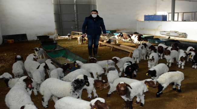 Devlet desteğiyle sürüsünü büyüterek süt sağım tesisi kurdu