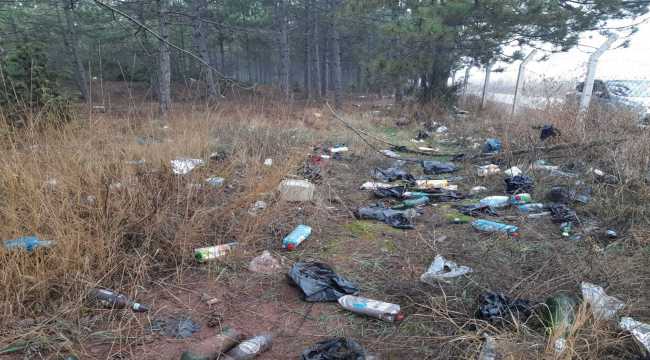 Eskişehir'de ormanlık alandan 50 çuval çöp toplandı