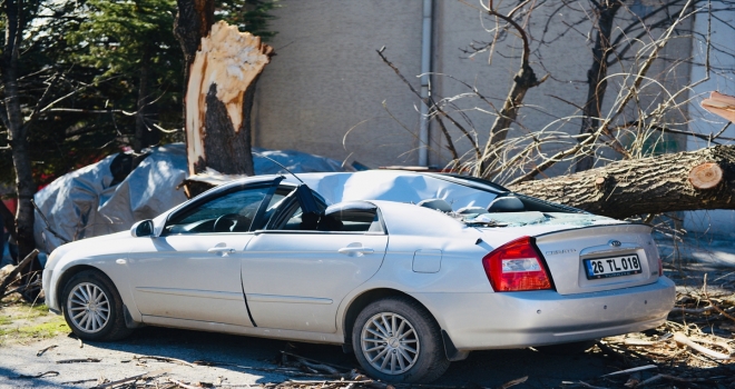 Eskişehir'de şiddetli rüzgarda park halindeki otomobilin üzerine ağaç devrildi