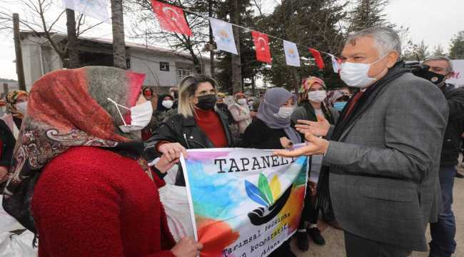 Feke'de 210 bin lavanta fidesi dağıtıldı 