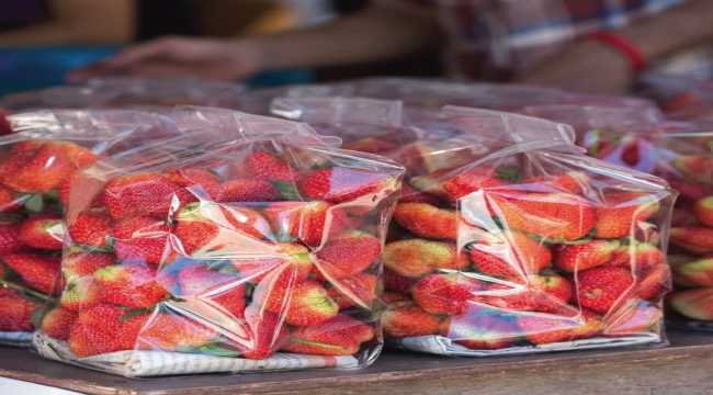 Gıdaların raf ömrünü uzatan 