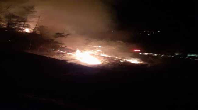 Adana'da çıkan orman yangını kontrol altına alındı