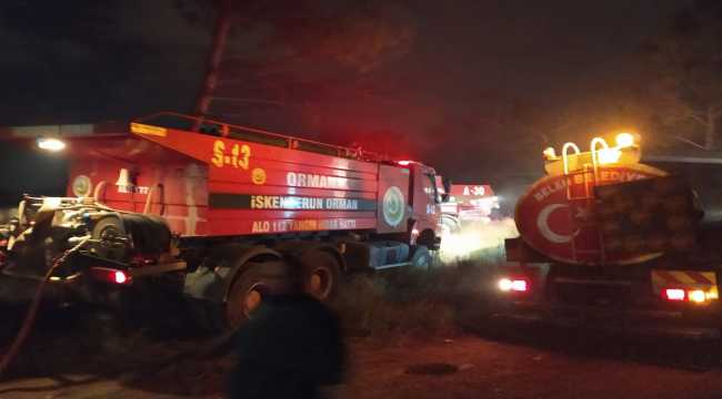 Hatay'da ormanlık alanda çıkan yangın söndürüldü