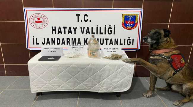 Hatay'da uyuşturucu operasyonu: 1 gözaltı 