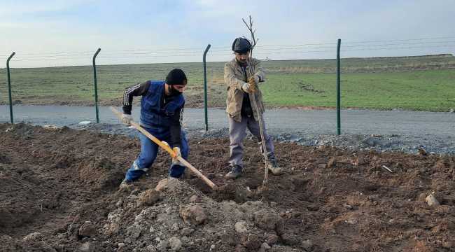 Keçiören Belediyesi 17 dönümlük meyve bahçesi kuruyor