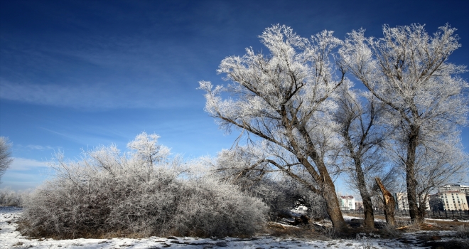 Kısmen donan Kızılırmak kıyısındaki kırağı tutan ağaçlarla göz kamaştırıyor