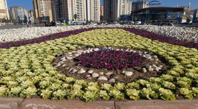 Melikgazi Belediyesi çiçek dikim çalışmalarına devam ediyor