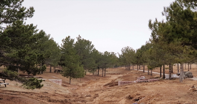 Meram Belediyesi Dutlu Millet Bahçesi'nde revizyon çalışması başlattı