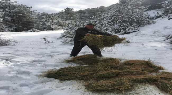 Nallıhan'da yaban hayatı için doğaya ot bırakıldı