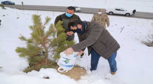 Yabani hayvanlar için doğaya yem bırakıldı