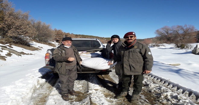 Yozgat'ta av koruma ve kontrol ekipleri yaban hayvanlarını unutmuyor