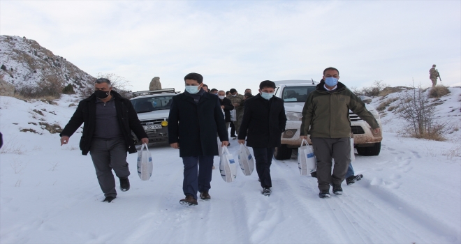 Zara'da yaban hayvanları için doğaya yem bırakıldı