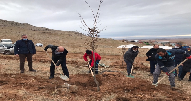 Çumra'da park ve yeşil alan çalışmaları