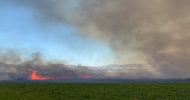 Kaş'ta seraların bulunduğu bölgedeki sazlık yangını söndürüldü