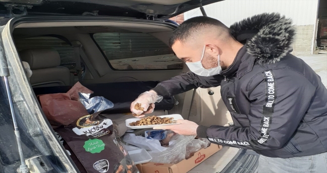 Kulu'da fedakar üniversiteli sokak hayvanlarını besliyor