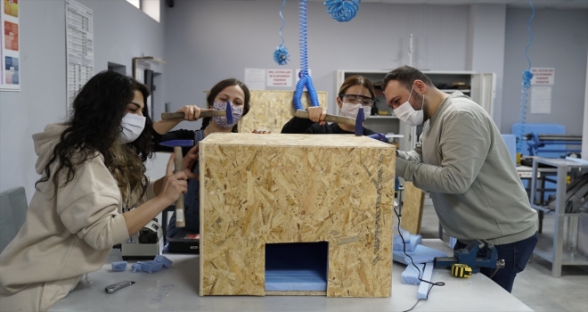 Nevşehir'de 'Pati Topluluğu' üyeleri sokak hayvanlarına barınak yaptı