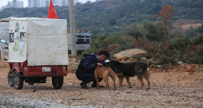 Sokak hayvanlarının 