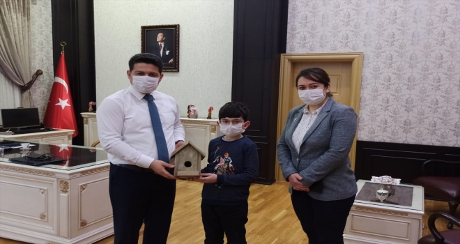 Zara Kaymakamlığından kuş evi etkinliği