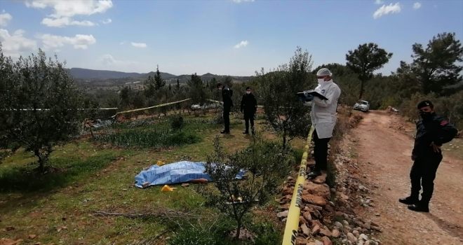 Antalya'da arazilerindeki ağaçların kesilmesi nedeniyle tartıştığı ağabeyini tüfekle öldüren zanlı tutuklandı