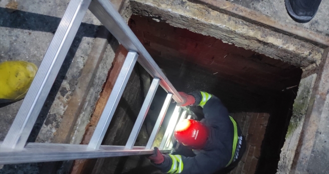 Konya'da çukura düşen yavru köpekleri itfaiye kurtardı