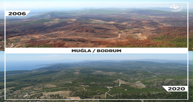 Orman Genel Müdürlüğünden yangınlara 