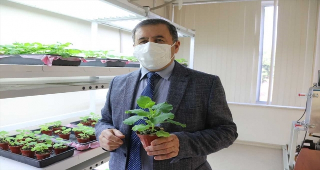 Akdeniz Üniversitesi Kovid-19'a karşı ilaç ve aşı adayı geliştirildiğini açıkladı