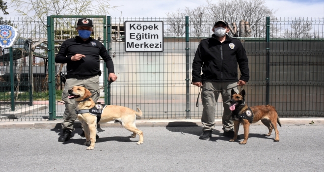 Emniyetin hassas burunları 