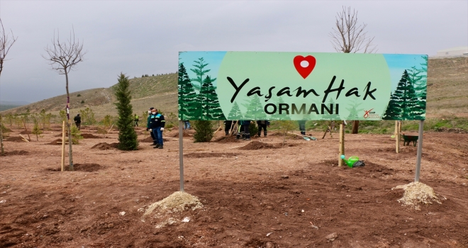 Eskişehir'de CHP Kadın Kolları tarafından 