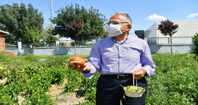 Kayseri Büyükşehir Belediyesi 2021 yılında çiftçiye desteklerini sürdürecek