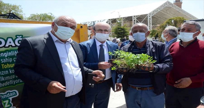 Kırşehir'de yerli tohumu teşvik için 120 bin sebze fidesi dağıtıldı