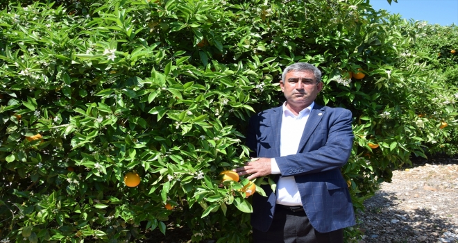 Kumluca Ziraat Odası Başkanı Kökce'den üreticilere sigorta uyarısı