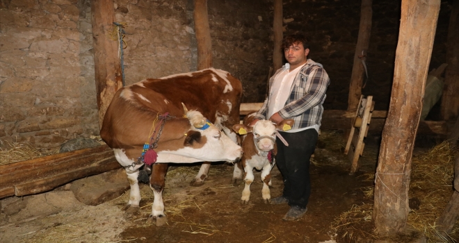 Öğretmeninin 