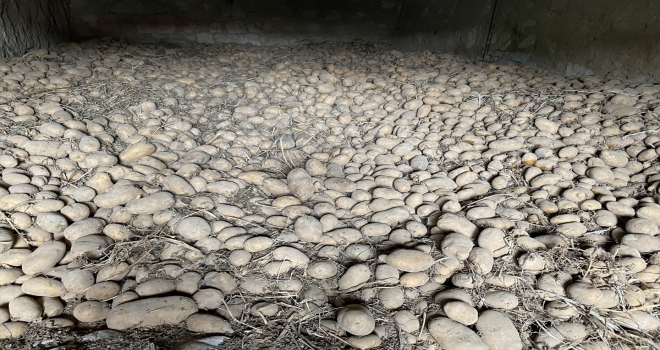 Patates alımı yapılan Niğdeli çiftçiler, Cumhurbaşkanı Erdoğan'a teşekkür etti