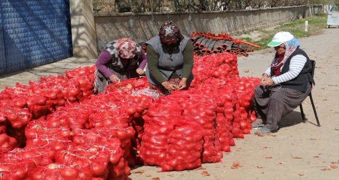 Yozgat'ta çiftçinin elinde kalan tüketim fazlası soğanlar ihtiyaç sahiplerinin sofralarına ulaştırılıyor