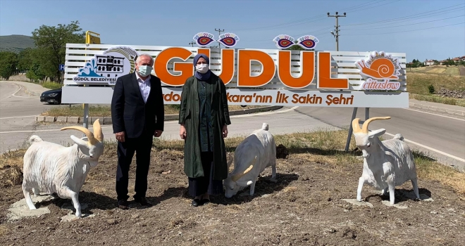 Ankara Milletvekili Zeynep Yıldız, Güdül'de incelemelerde bulundu