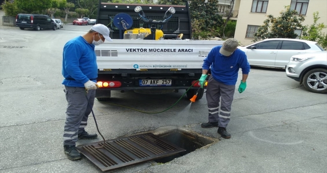 Antalya'da sinekle mücadele çalışmaları başladı