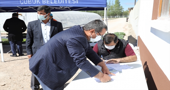 Çubuk Belediyesinden çiftçilere ücretsiz sebze fidesi 