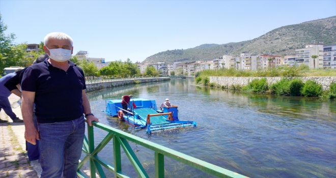 Finike'deki iki akarsu yosunlardan ve yabani otlardan temizleniyor
