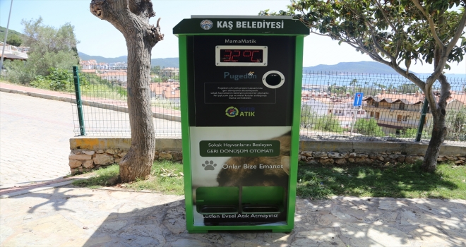 Kaş'ta sokak hayvanları için mamamatik hizmeti