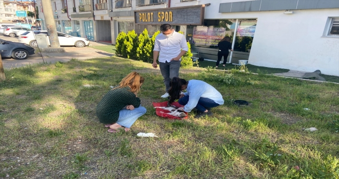 Sivas'ta bıçaklanarak öldürülmüş bir kedi yavrusu bulundu