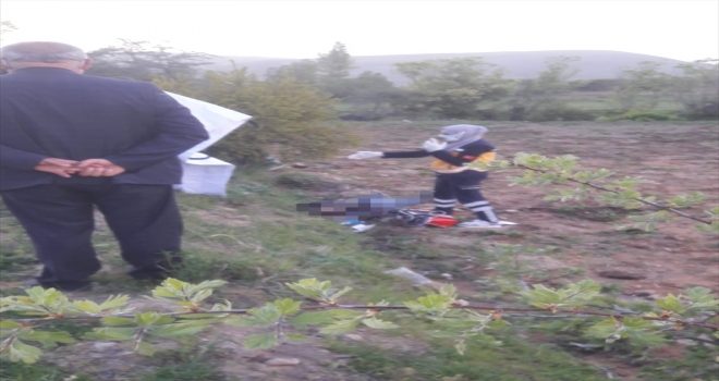 Sivas'ta bir kişi tarlasında ölü bulundu