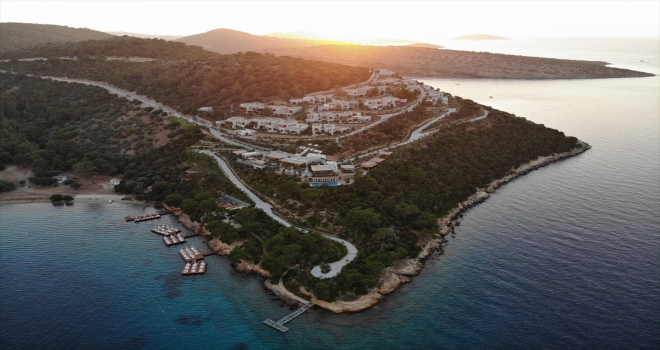 The Telegraph Gazetesi, Bodrum Loft'u 