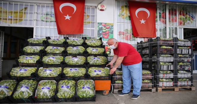 Türkiye'nin yaş sebze meyve üssü Antalya'da, 