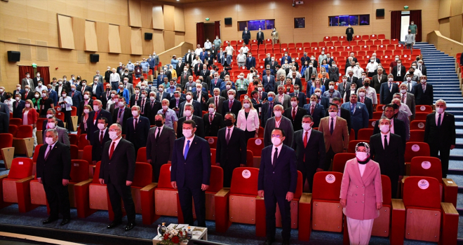 45 ilden 230 muhtar, 