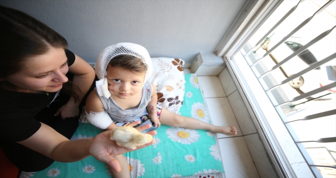 Antalya'da sevmek istediği köpek tarafından ısırılan çocuk yaralandı