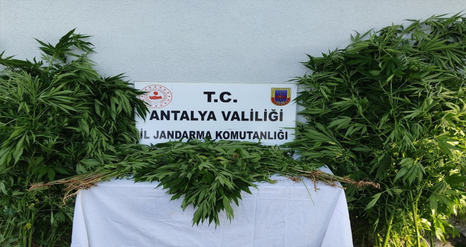 Antalya'da uyuşturucu operasyonunda 1 kişi yakalandı