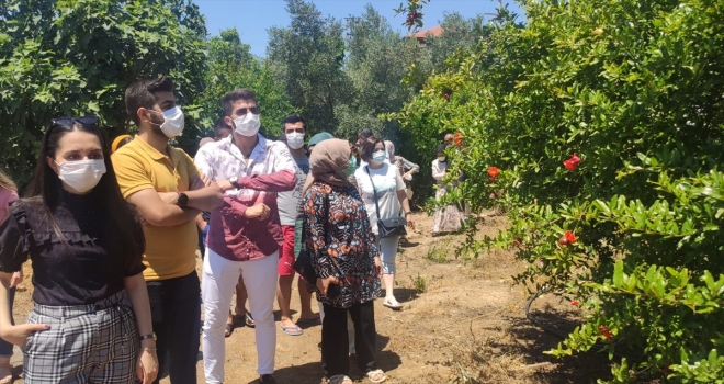 Batman Üniversitesi öğrencileri, Antalya'da bahçe ve seraları gezdi